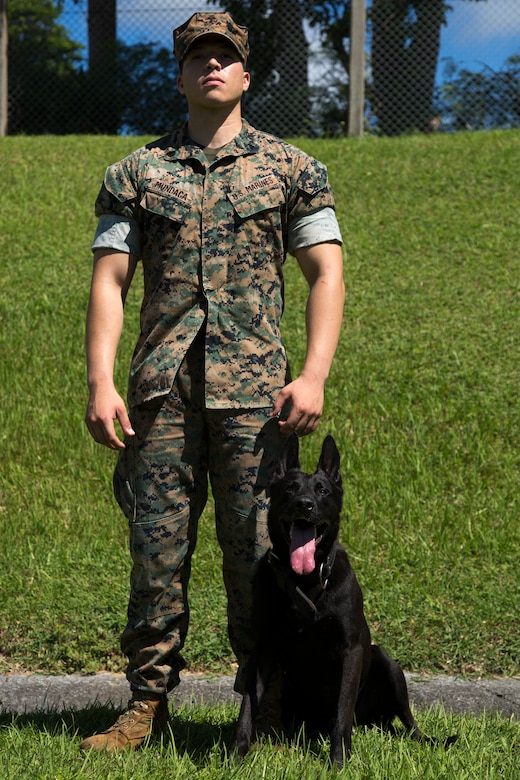 CAMP HANSEN, OKINAWA, Japan – Sgt. David Mundaca and military working dog Oohio pose for a photo Aug. 31 at the kennels on Camp Hansen, Okinawa, Japan. The MWD handlers spend most of their working day with their partner to keep at top performance.