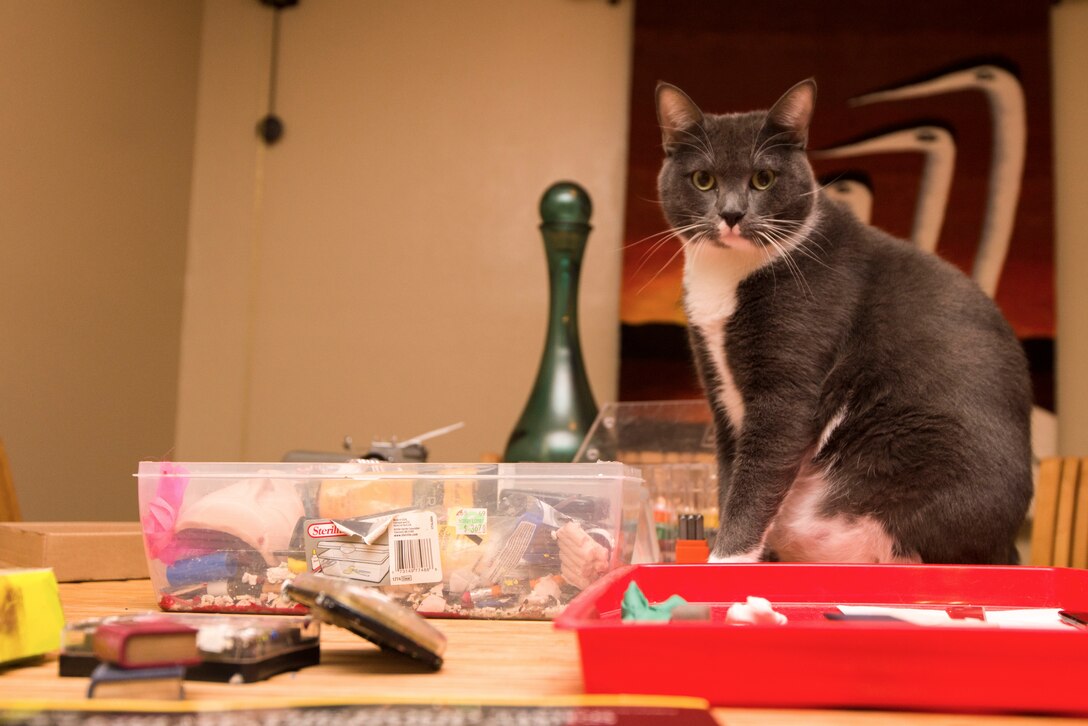 Could not load photo