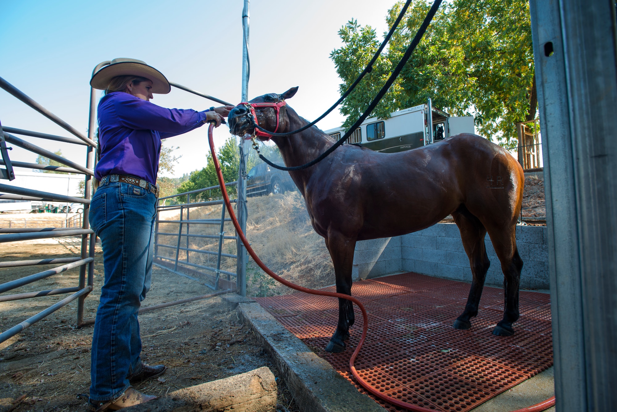 Cutting is a western-style equestrian competition in which a horse and rider work as a team before a judge or panel of judges to demonstrate the horse's athleticism and ability to handle cattle during a ​2 1⁄2 minute performance, called a "run." Each contestant is assisted by four helpers: two are designated as turnback help to keep cattle from running off to the back of the arena, and the other two are designated as herd holders to keep the cattle bunched together and prevent potential strays from escaping into the work area.