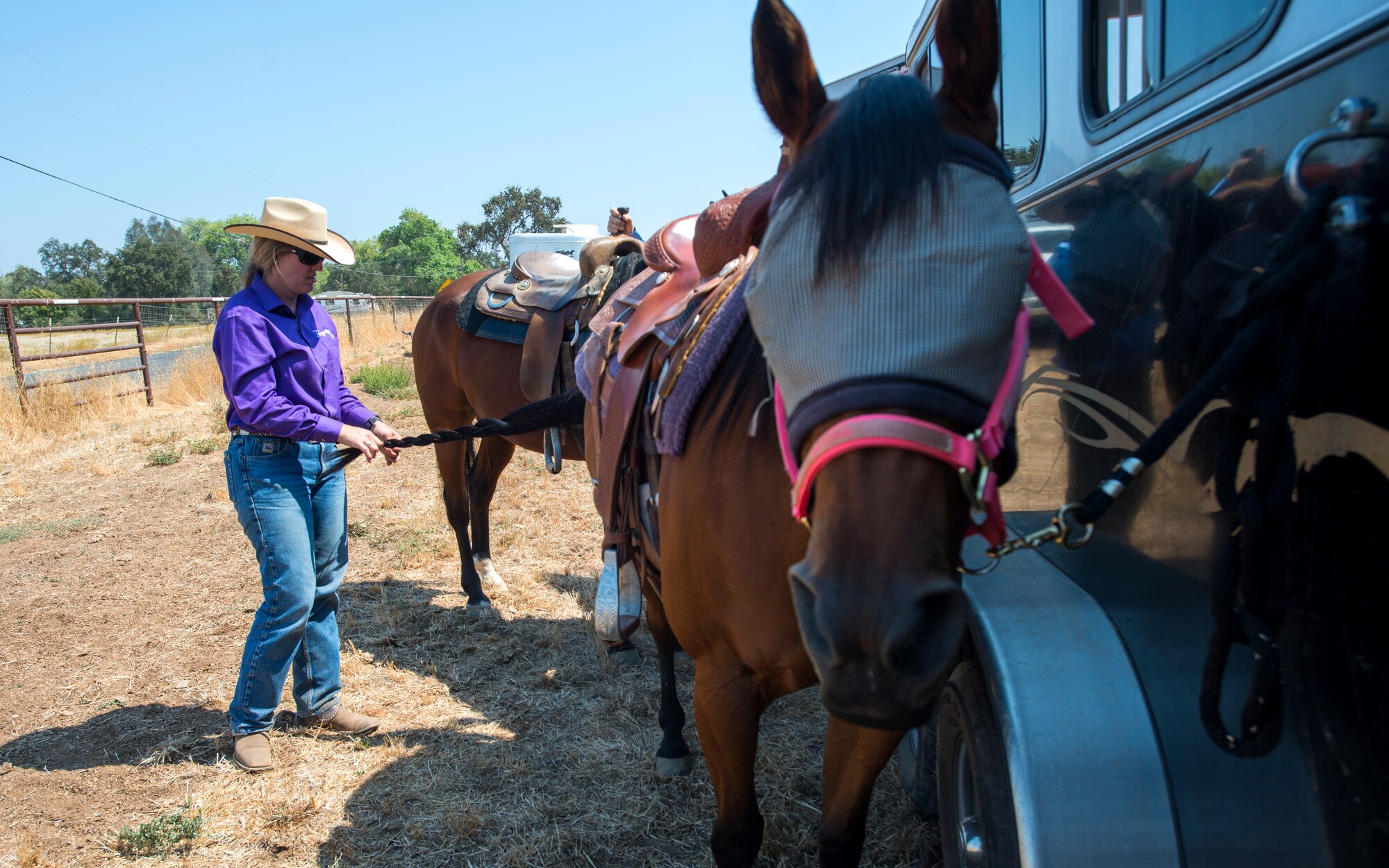 Cutting is a western-style equestrian competition in which a horse and rider work as a team before a judge or panel of judges to demonstrate the horse's athleticism and ability to handle cattle during a ​2 1⁄2 minute performance, called a "run." Each contestant is assisted by four helpers: two are designated as turnback help to keep cattle from running off to the back of the arena, and the other two are designated as herd holders to keep the cattle bunched together and prevent potential strays from escaping into the work area.