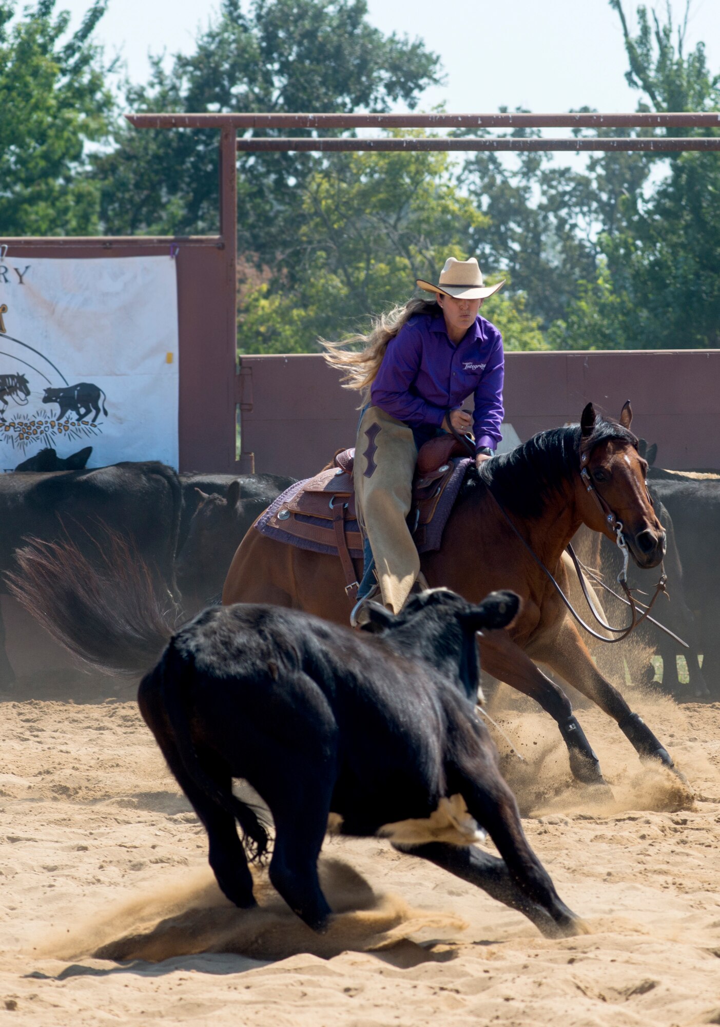 Cutting is a western-style equestrian competition in which a horse and rider work as a team before a judge or panel of judges to demonstrate the horse's athleticism and ability to handle cattle during a ​2 1⁄2 minute performance, called a "run." Each contestant is assisted by four helpers: two are designated as turnback help to keep cattle from running off to the back of the arena, and the other two are designated as herd holders to keep the cattle bunched together and prevent potential strays from escaping into the work area.