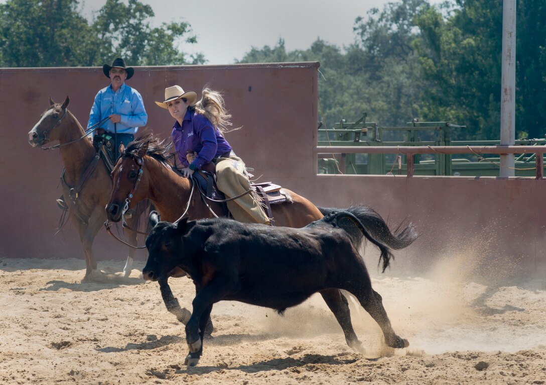 Cutting is a western-style equestrian competition in which a horse and rider work as a team before a judge or panel of judges to demonstrate the horse's athleticism and ability to handle cattle during a ​2 1⁄2 minute performance, called a "run." Each contestant is assisted by four helpers: two are designated as turnback help to keep cattle from running off to the back of the arena, and the other two are designated as herd holders to keep the cattle bunched together and prevent potential strays from escaping into the work area.
