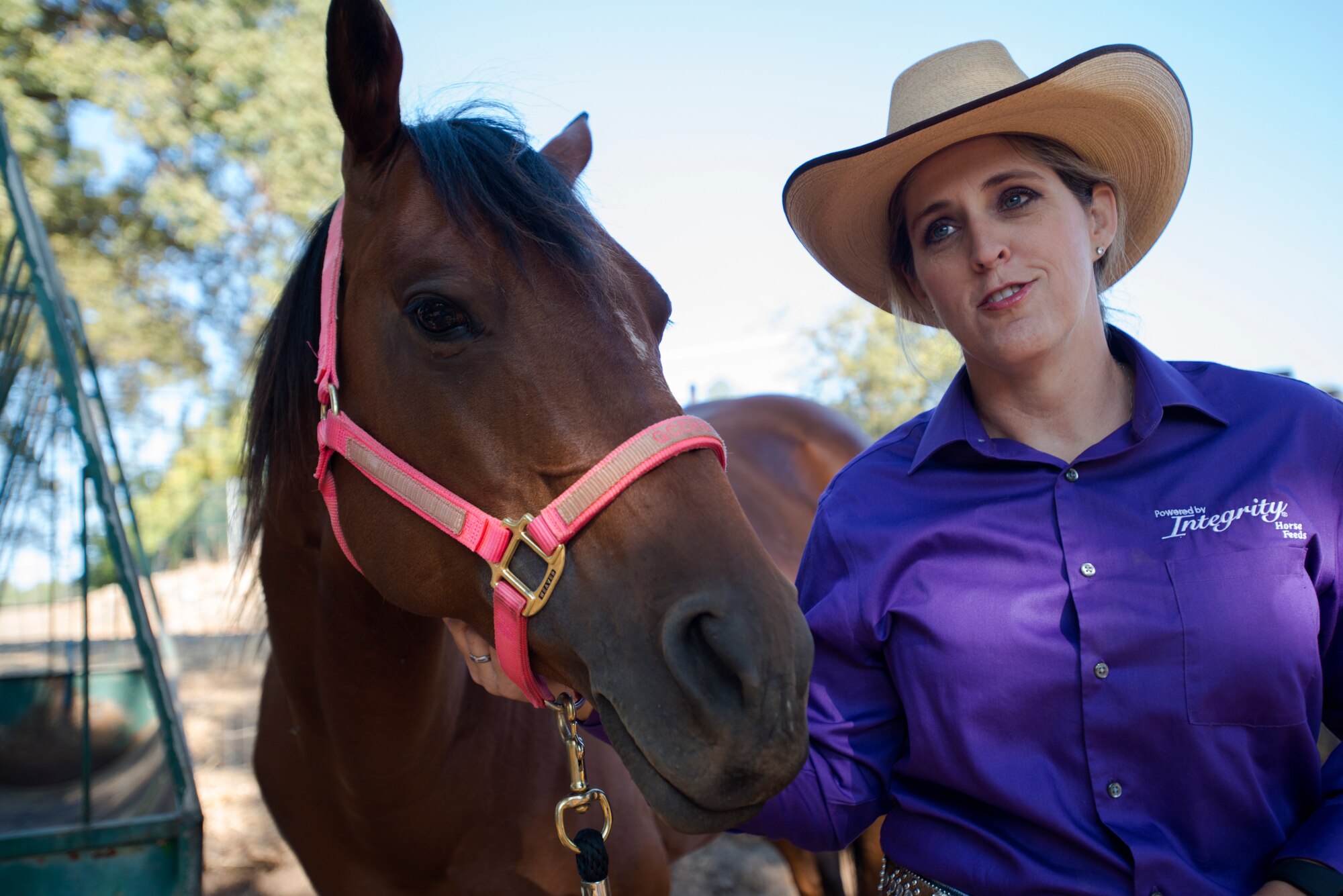 Cutting is a western-style equestrian competition in which a horse and rider work as a team before a judge or panel of judges to demonstrate the horse's athleticism and ability to handle cattle during a ​2 1⁄2 minute performance, called a "run." Each contestant is assisted by four helpers: two are designated as turnback help to keep cattle from running off to the back of the arena, and the other two are designated as herd holders to keep the cattle bunched together and prevent potential strays from escaping into the work area.