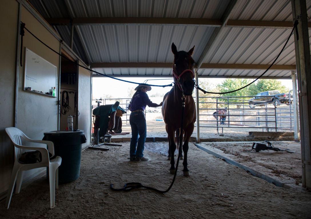 Cutting is a western-style equestrian competition in which a horse and rider work as a team before a judge or panel of judges to demonstrate the horse's athleticism and ability to handle cattle during a ​2 1⁄2 minute performance, called a "run." Each contestant is assisted by four helpers: two are designated as turnback help to keep cattle from running off to the back of the arena, and the other two are designated as herd holders to keep the cattle bunched together and prevent potential strays from escaping into the work area.