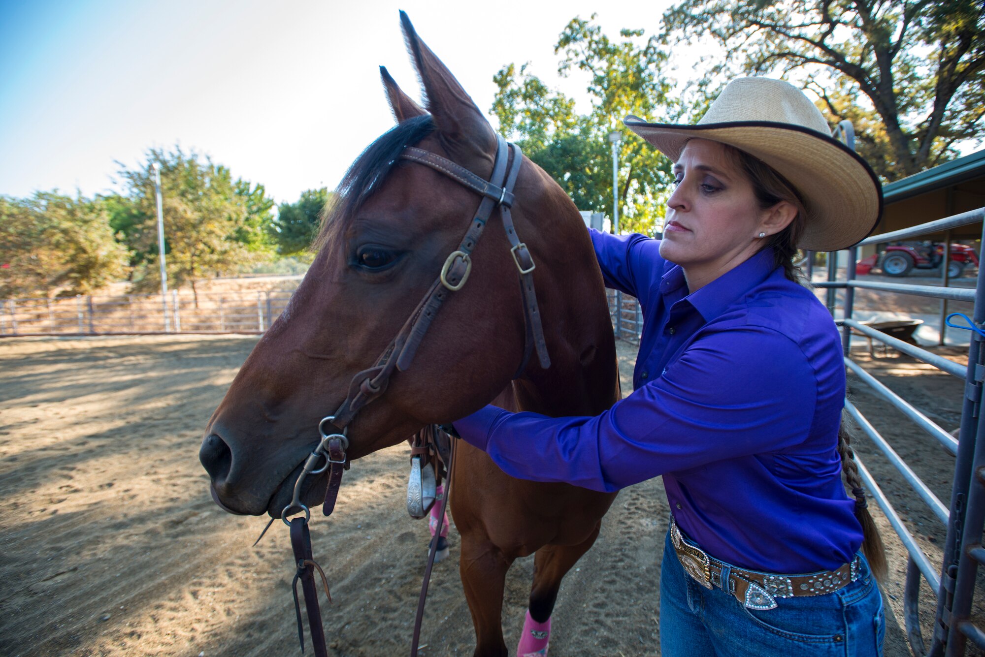 Cutting is a western-style equestrian competition in which a horse and rider work as a team before a judge or panel of judges to demonstrate the horse's athleticism and ability to handle cattle during a ​2 1⁄2 minute performance, called a "run." Each contestant is assisted by four helpers: two are designated as turnback help to keep cattle from running off to the back of the arena, and the other two are designated as herd holders to keep the cattle bunched together and prevent potential strays from escaping into the work area.