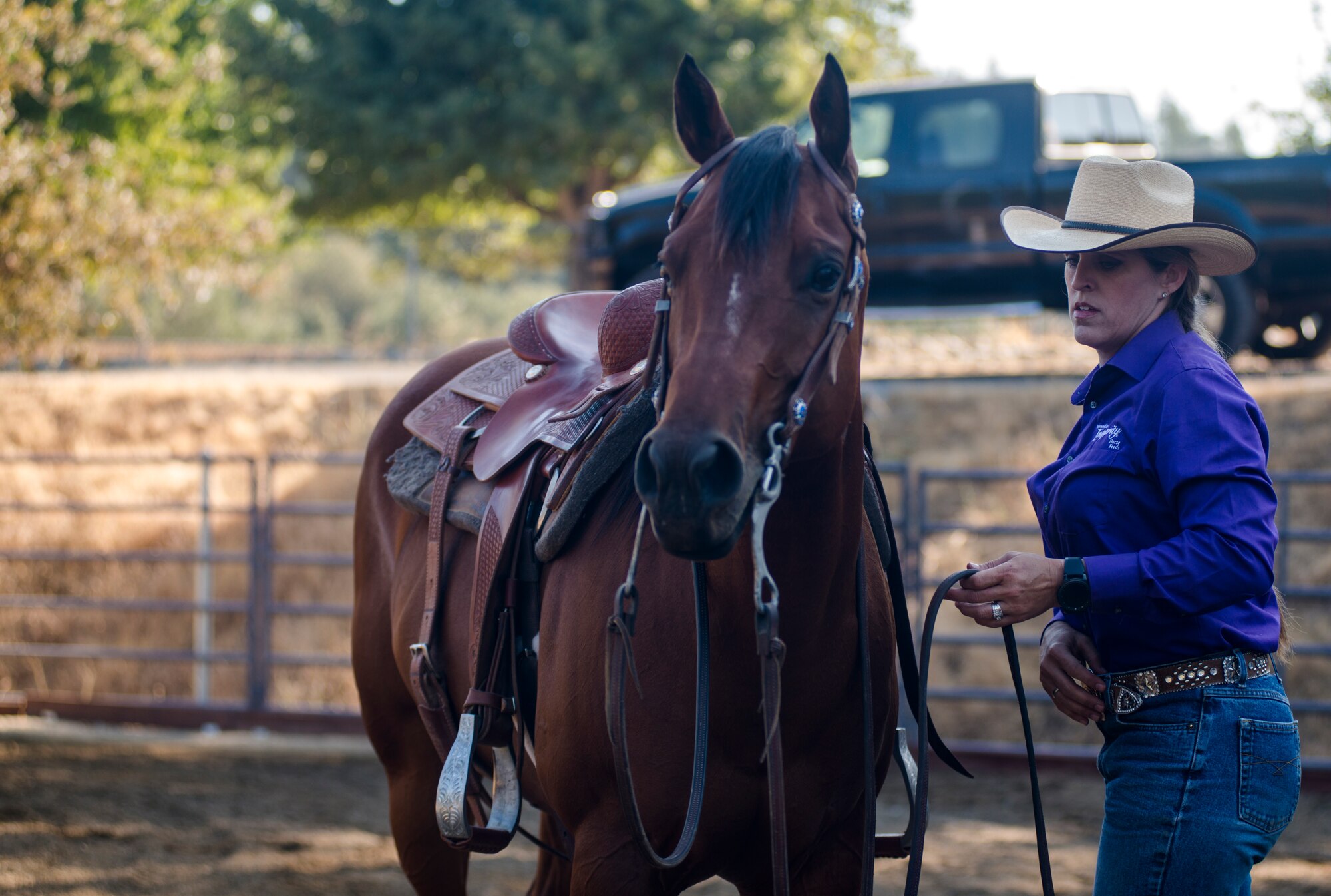 Cutting is a western-style equestrian competition in which a horse and rider work as a team before a judge or panel of judges to demonstrate the horse's athleticism and ability to handle cattle during a ​2 1⁄2 minute performance, called a "run." Each contestant is assisted by four helpers: two are designated as turnback help to keep cattle from running off to the back of the arena, and the other two are designated as herd holders to keep the cattle bunched together and prevent potential strays from escaping into the work area.