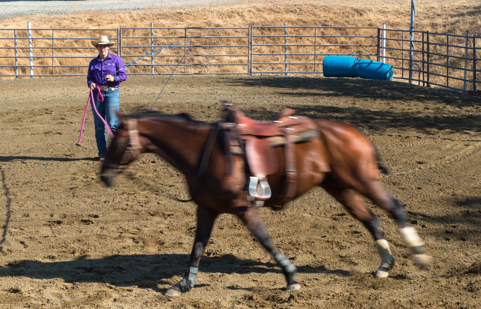 Cutting is a western-style equestrian competition in which a horse and rider work as a team before a judge or panel of judges to demonstrate the horse's athleticism and ability to handle cattle during a ​2 1⁄2 minute performance, called a "run." Each contestant is assisted by four helpers: two are designated as turnback help to keep cattle from running off to the back of the arena, and the other two are designated as herd holders to keep the cattle bunched together and prevent potential strays from escaping into the work area.