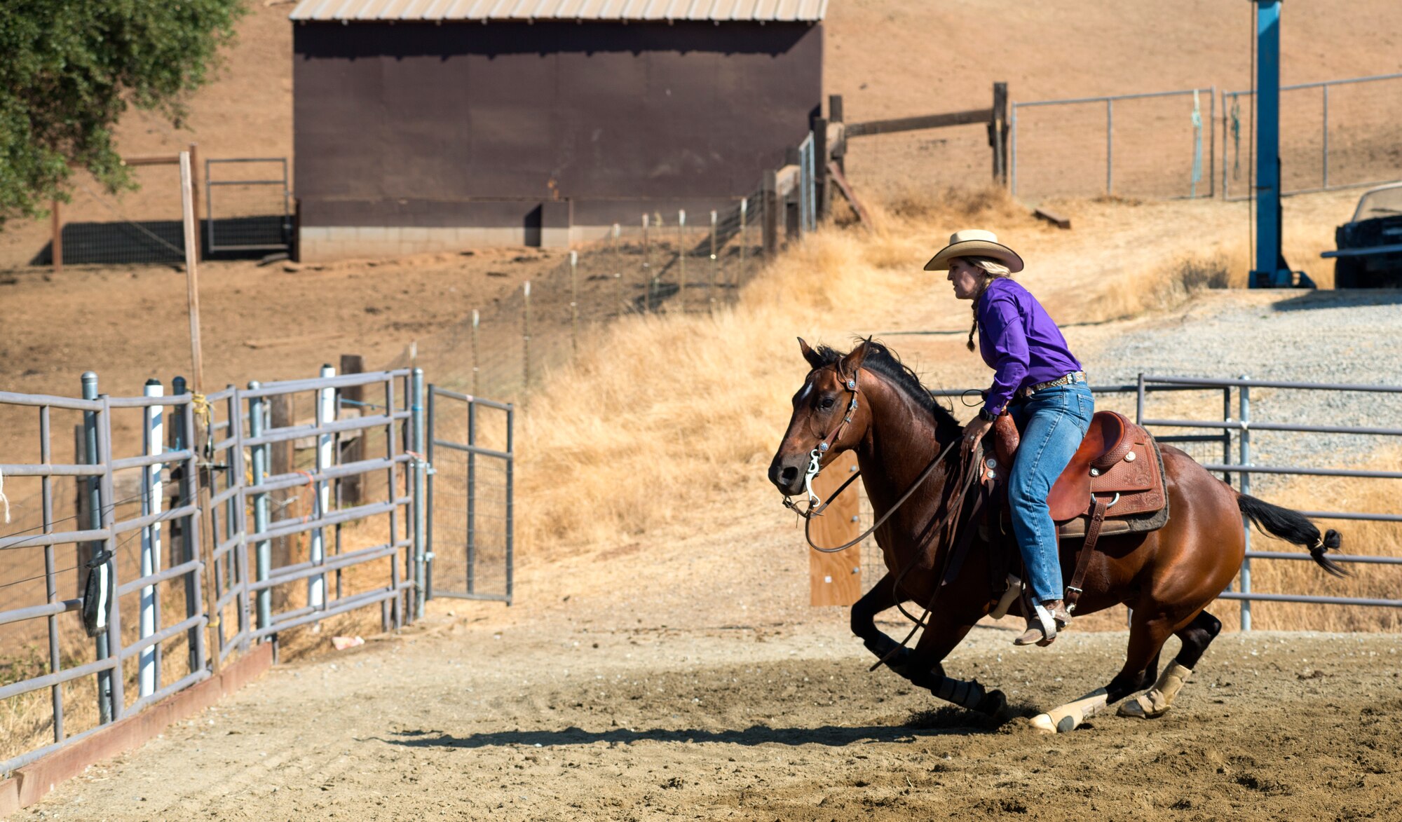 Cutting is a western-style equestrian competition in which a horse and rider work as a team before a judge or panel of judges to demonstrate the horse's athleticism and ability to handle cattle during a ​2 1⁄2 minute performance, called a "run." Each contestant is assisted by four helpers: two are designated as turnback help to keep cattle from running off to the back of the arena, and the other two are designated as herd holders to keep the cattle bunched together and prevent potential strays from escaping into the work area.