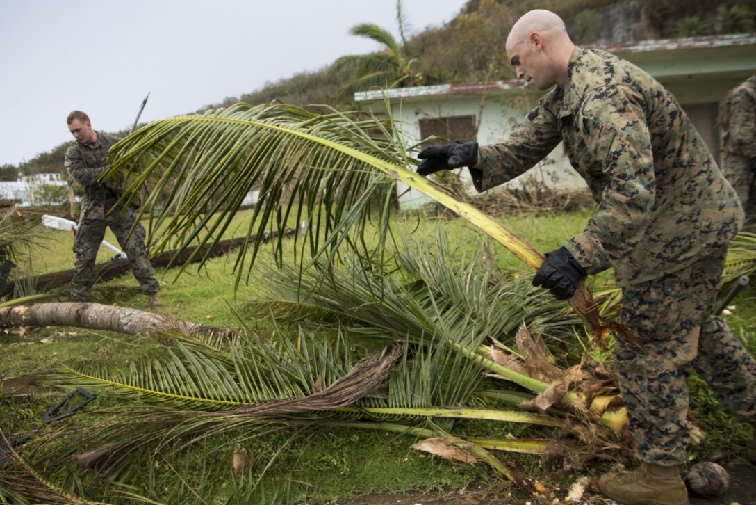 Marines and Sailors from Battalion Landing Team, 2nd Battalion, 5th Marines, and Combat Logistics Battalion 31, clean up debris after Typhoon Mangkhut as part of typhoon relief efforts in Rota, Commonwealth of the Northern Mariana Islands, Sept. 13, 2018.