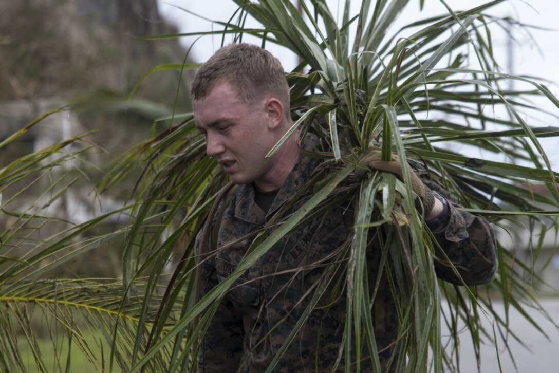 A Marine from the 31st Marine Expeditionary Unit cleans up debris after Typhoon Mangkhut during typhoon relief efforts in Rota, Commonwealth of the Northern Mariana Islands, Sept. 13, 2018. Service members from the Indo-Pacific Command are providing Department of Defense support to the Federal Emergency Management Agency, and working with Guam and Commonwealth of the Northern Mariana civil and local officials for Typhoon Mangkhut recovery efforts. The 31st MEU, the Marine Corps’ only continuously forward-deployed MEU, provides a flexible force ready to perform a wide-range of military operations. (U.S. Marine Corps photo by Cpl. Bernadette Plouffe/Released)