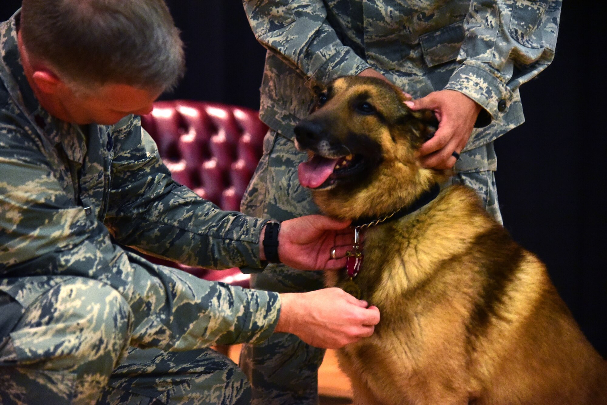 MWD, 22 SFS, 22 ARW