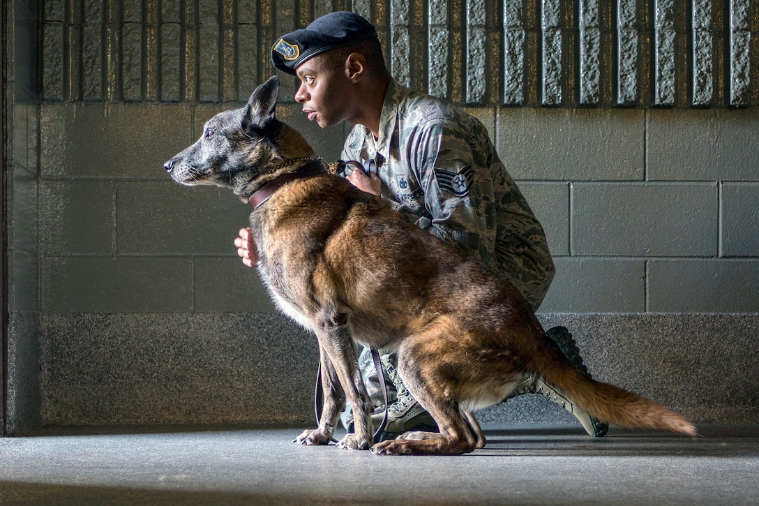 An Airman works with military working dog Kimba in a kennel.