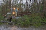 Marines remove a fallen tree laying power lines.