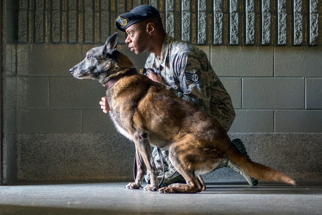 An Airman works with military working dog Kimba in a kennel.