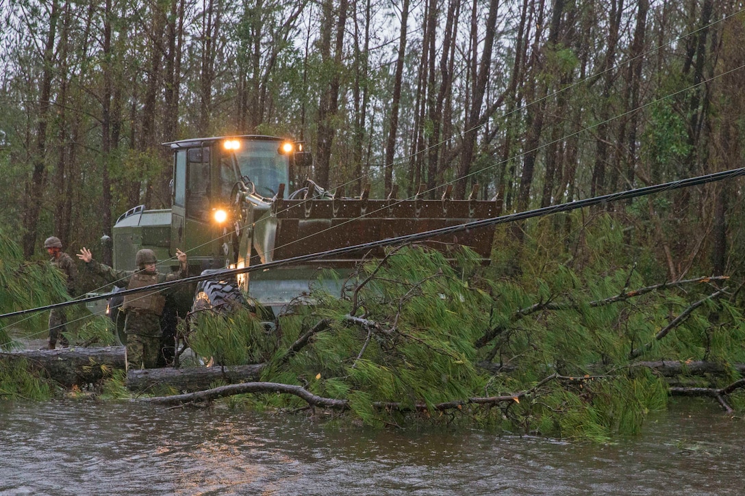 Marines remove a fallen tree laying power lines.