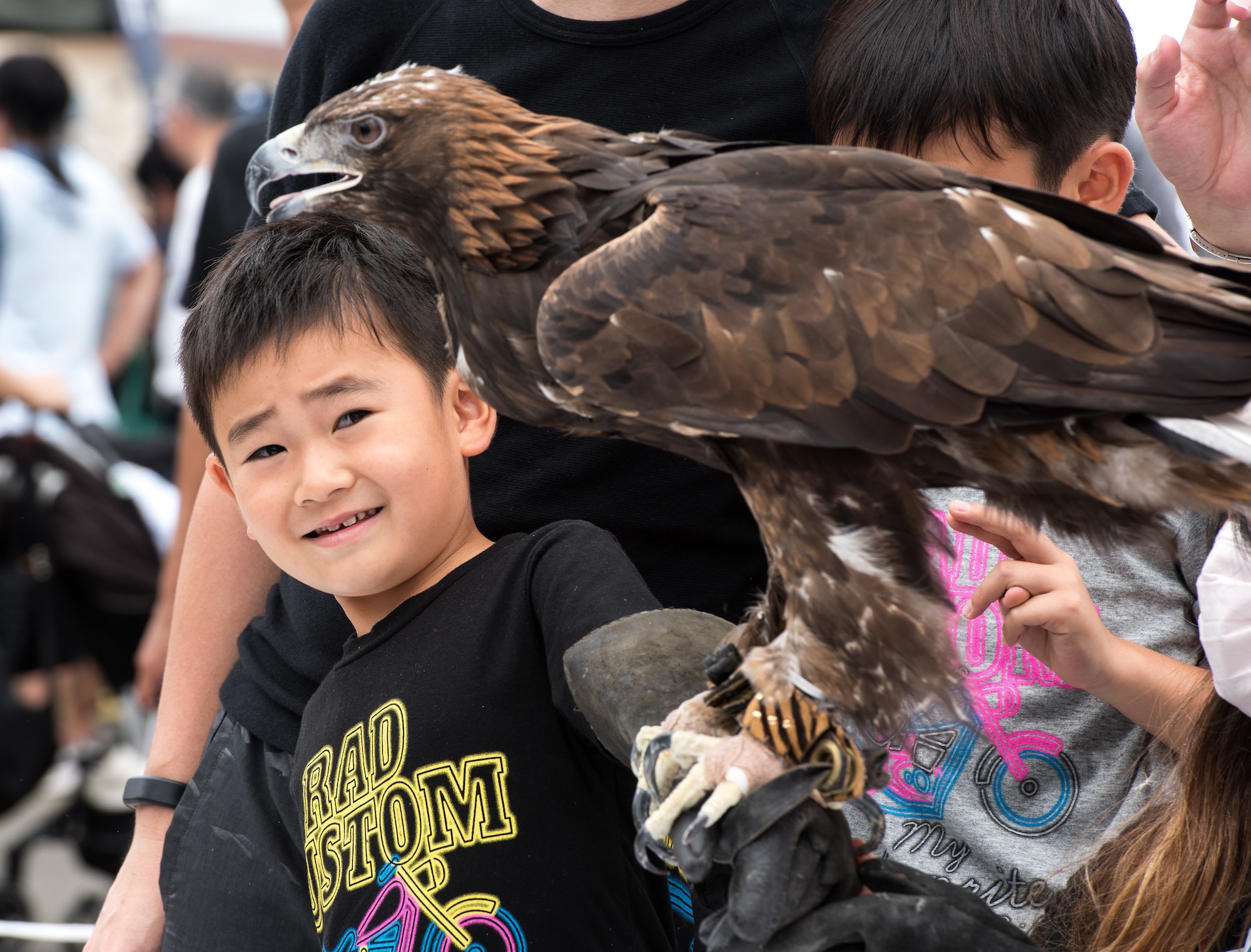 A boy holds a Golden Eagle