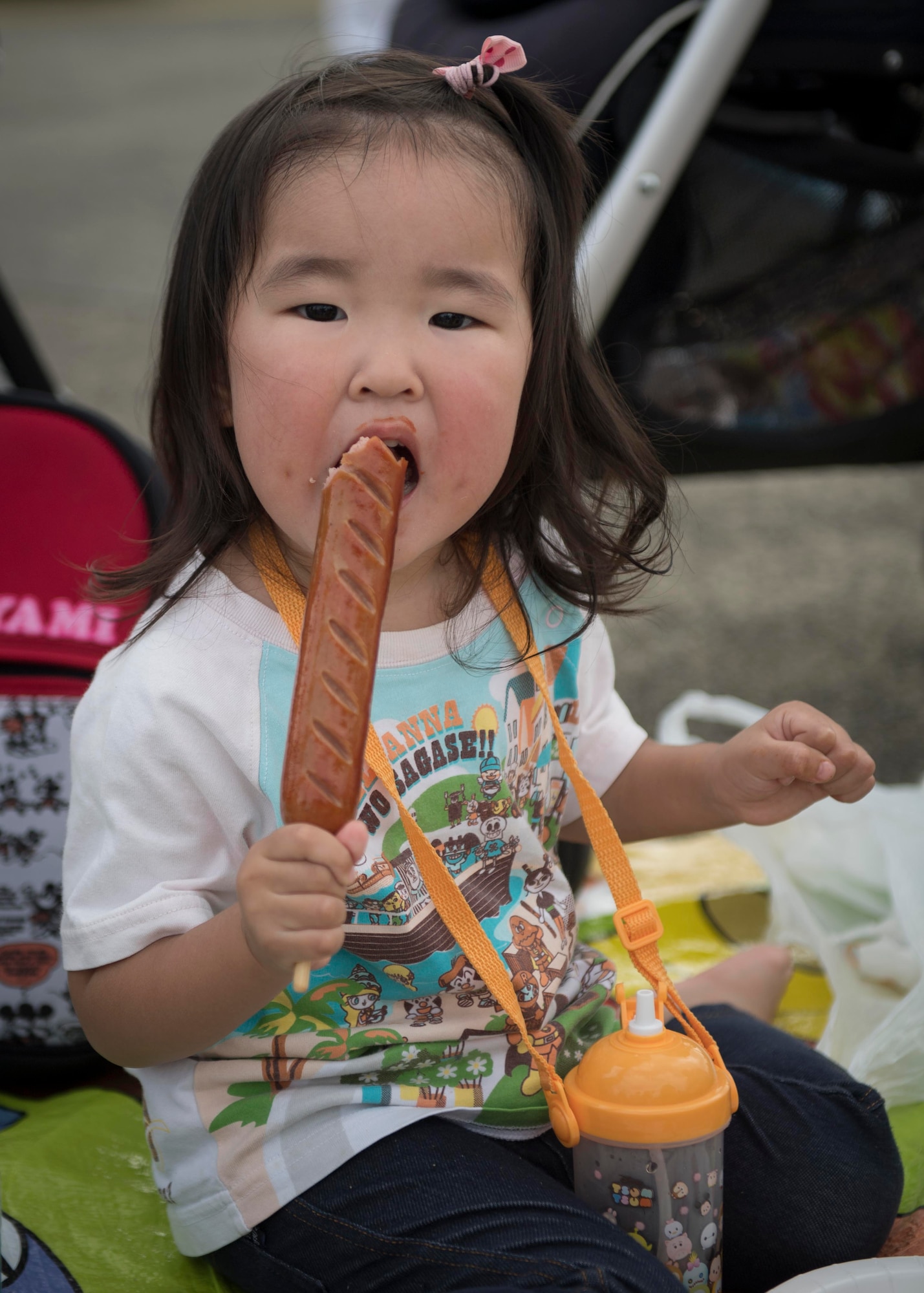 2018 Japanese-American Friendship Festival