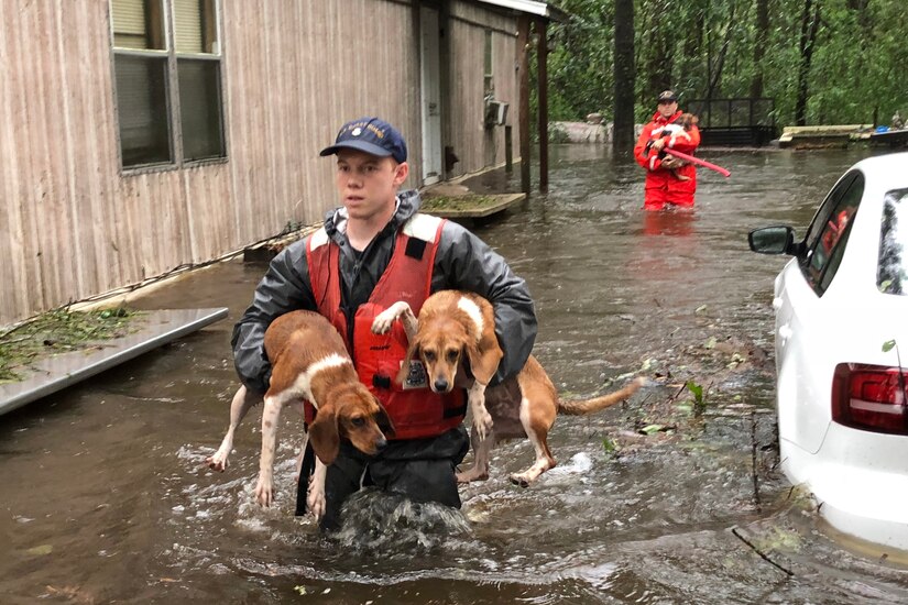 Members of the Coast Guard carry dogs through deep water.