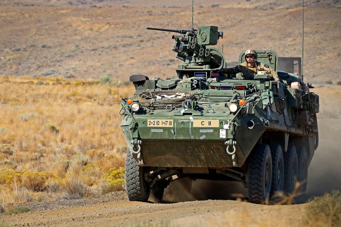 Soldiers maneuver their M1126 Stryker to rapidly deploy team members on a live-fire range.