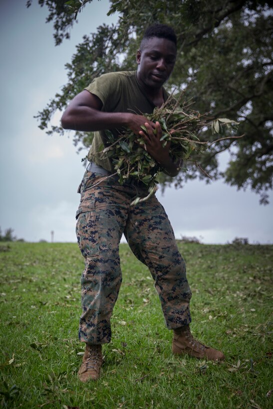 U.S. Marine Corps Cpl. Patrick Minott with Service Company, Headquarters Regiment, 2nd Marine Logistics Group, hauls away debris at Camp Lejeune, N.C., Sept. 17, 2018. Recovery and repair efforts began on base Saturday, September 15, with the majority of efforts focused on clearing roadways and restoring power to critical areas aboard Camp Lejeune following Hurricane Florence. (U.S. Marine Corps photo by Sgt. Bethanie C. Sahms)
