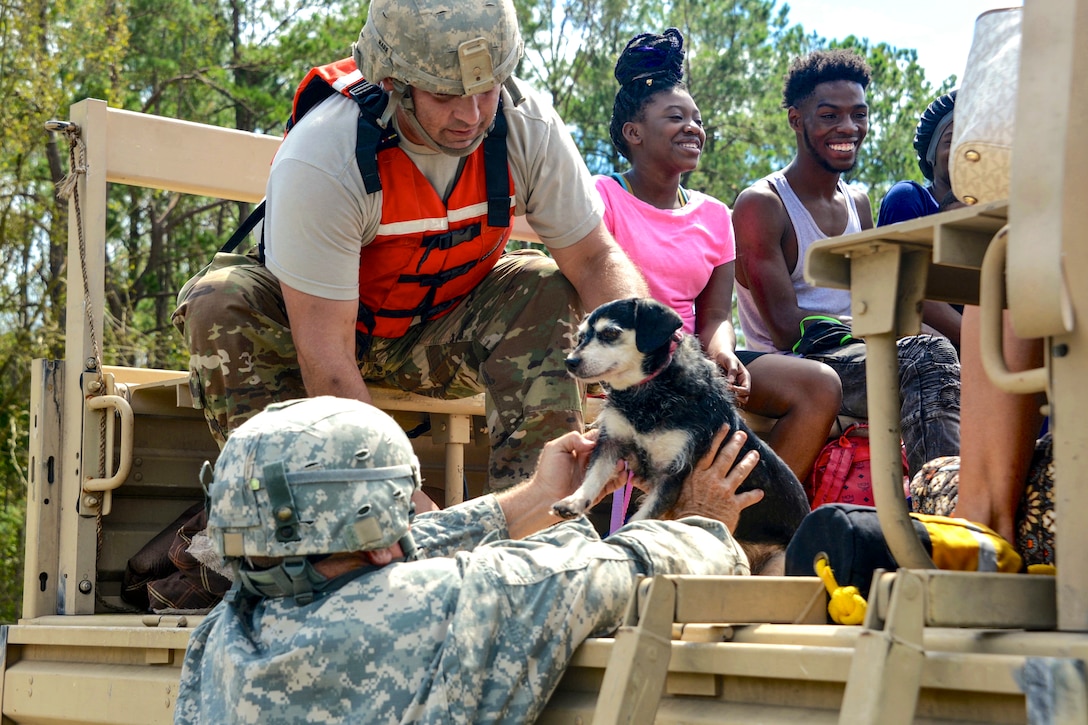 Soldiers place a dog in a military vehicle where civilians are seated.