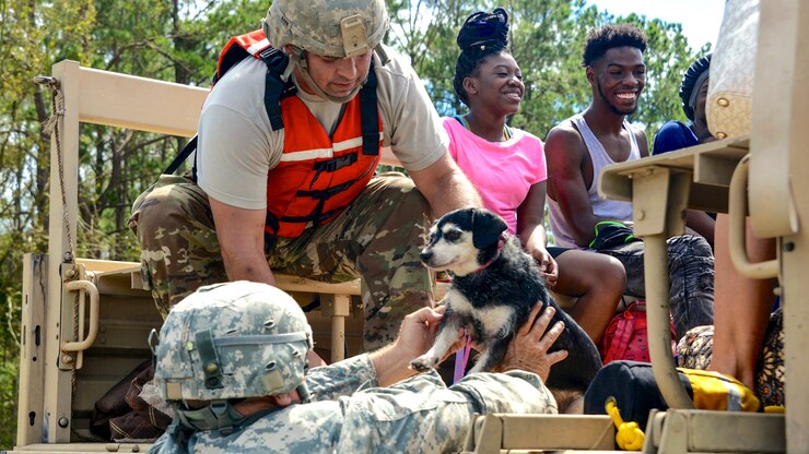 Soldiers place a dog in a military vehicle where civilians are seated.
