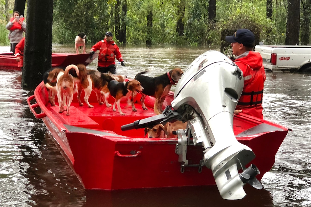 Coast Guard members assist people and their pets stranded by floodwaters caused by Tropical Storm Florence.