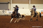 Colorado Army National Guard (right) Maj. Paul Brittain heals a calf during the team roping competition with his partner, Air Force Lt. Col. Val Baker, at the Professional Armed Forces Rodeo Association World Championships held in Midland, Texas Nov. 24, 2012. (Photo provided by Brian Gauck/Used with permission)