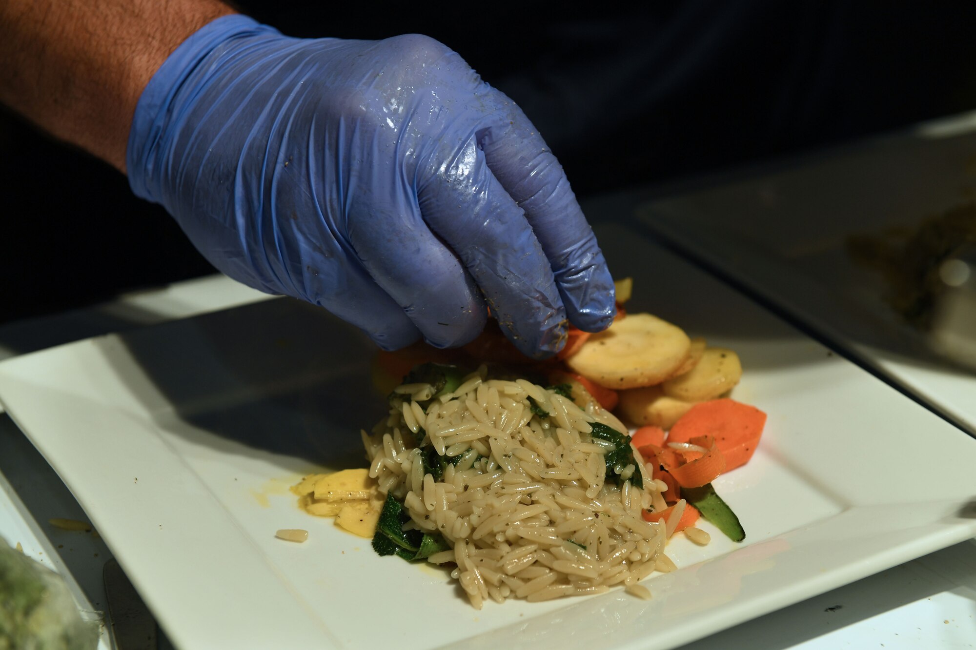 A hand places food on a plate.