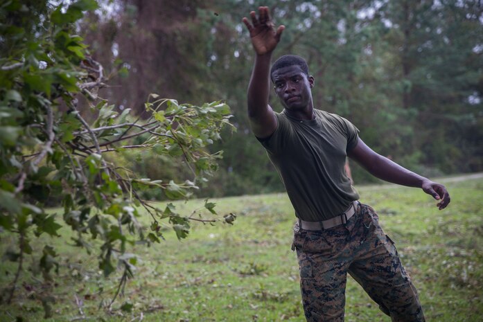 U.S. Marine Corps Cpl. Demarcus Robinson with Service Company, Headquarters Regiment, 2nd Marine Logistics Group, tosses broken tree branches into a pile at Camp Lejeune, N.C., Sept. 17, 2018. Recovery and repair efforts began on base Saturday, September 15, with the majority of efforts focused on clearing roadways and restoring power to critical areas at Camp Lejeune following Hurricane Florence. (U.S. Marine Corps photo by Sgt. Bethanie C. Sahms)