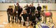 donkey basketball support community