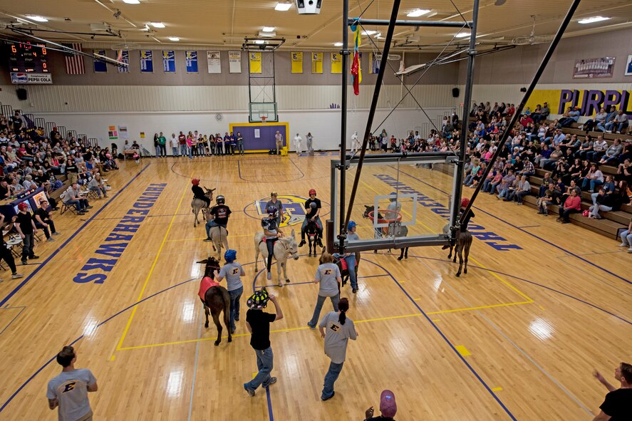 donkey basketball