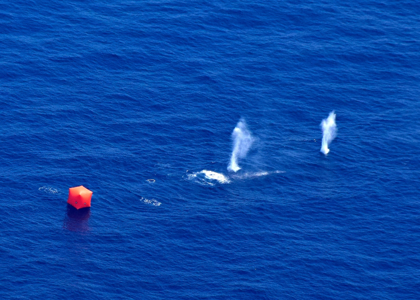 SOUTH CHINA SEA (Sept. 27, 2018) - A "killer tomato" target floats in the ocean as a Light Armored Vehicle's M242 Bushmaster 25 mm chain gun fires at it during a Defense of the Amphibious Task Force (DATF) drill from the flight deck of the amphibious assault ship USS Wasp (LHD 1). As part of the DATF, the Wasp Amphibious Ready Group (ARG), 31st MEU team, assumed a security posture, to simulate traveling through potentially dangerous waters. Wasp, flagship of the Wasp ARG, with embarked 31st MEU, is operating in the Indo-Pacific region to enhance interoperability with partners and serve as a ready-response force for any type of contingency.