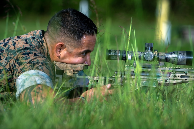 A Marine lies in the grass and aims a weapon.