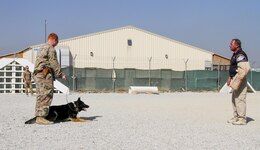 Specialist Austin Lancaster (middle), native of Amarillo, Texas and military working dog handler for the 180th Military Working Dog Detachment at Fort Leonard Wood, gives Larry, his working dog, the command to ‘lie down,’ after “subduing” an AMK9 contractor wearing a bite sleeve during the controlled aggression portion of the K9 Competition here on Bagram Airfield, Afghanistan. The K9 competition, held September 16, 2018, consisted of four events: detection, obedience, agility and controlled aggression. In each event, the working dog teams were evaluated on their expedience to complete the task, their accuracy, their focus and their obedience to their handler’s commands. Based on these evaluations, the nine working dog teams (three U.S. Army teams and six AMK9 contractor teams) were awarded corresponding points and the team that ended up with the most points won. (U.S. Army photo by: Staff Sgt. Caitlyn Byrne, 101st Sustainment Brigade Public Affairs)