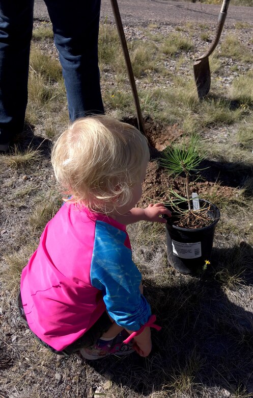 ABIQUIU LAKE, N.M. -- One of the youngest volunteers "helps" plant a tree at the lake, on National Public Lands Day, Sept. 22, 2018.