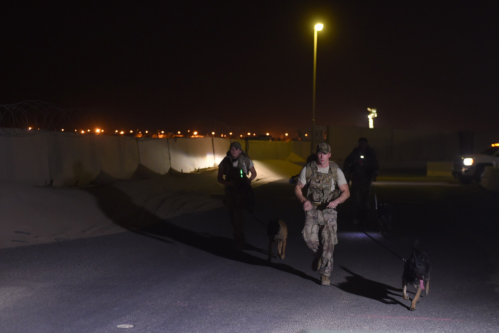 Airmen run with military working dogs on the side of the road at night