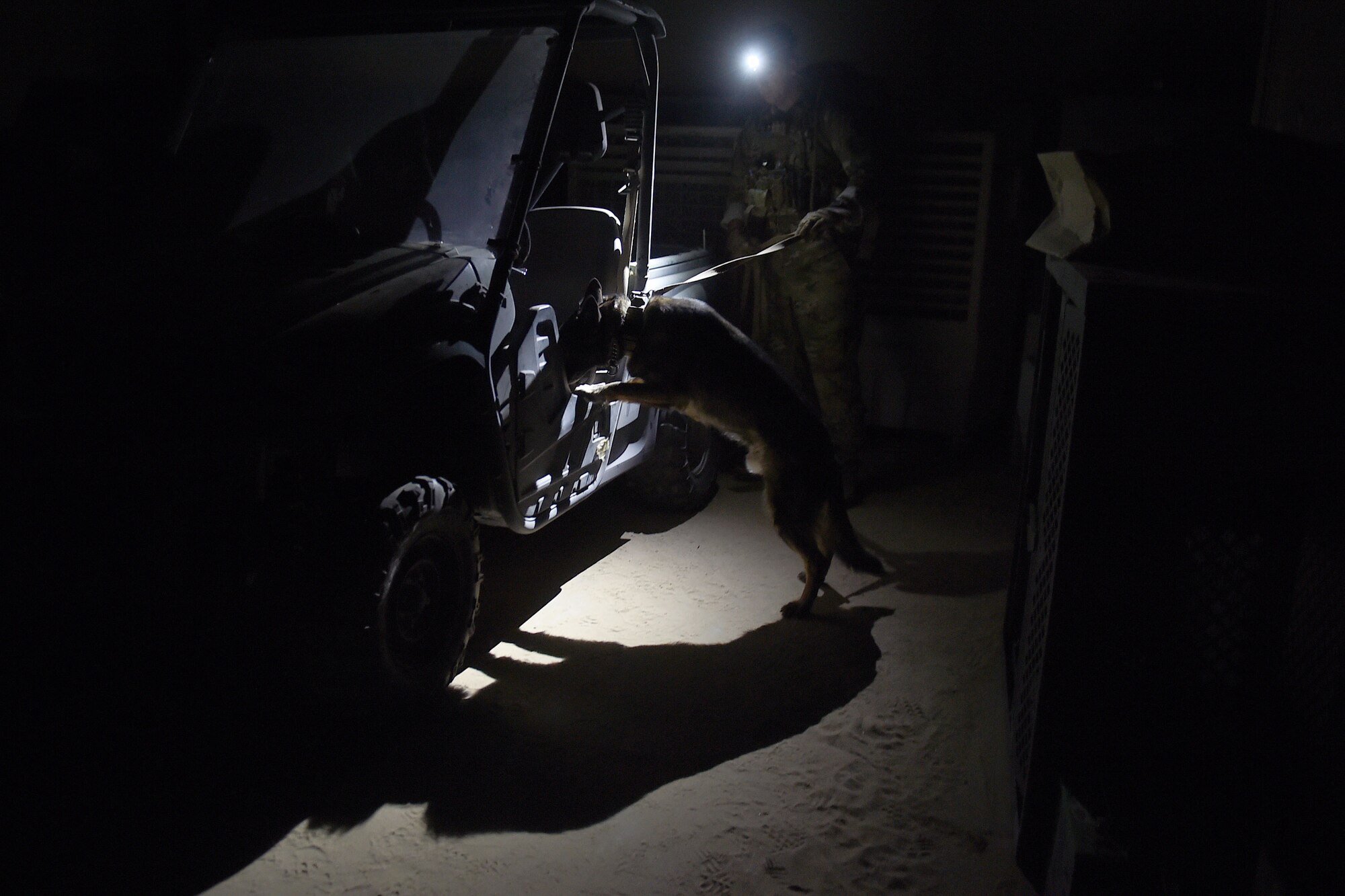 A military working dog sniffs smells in the dark