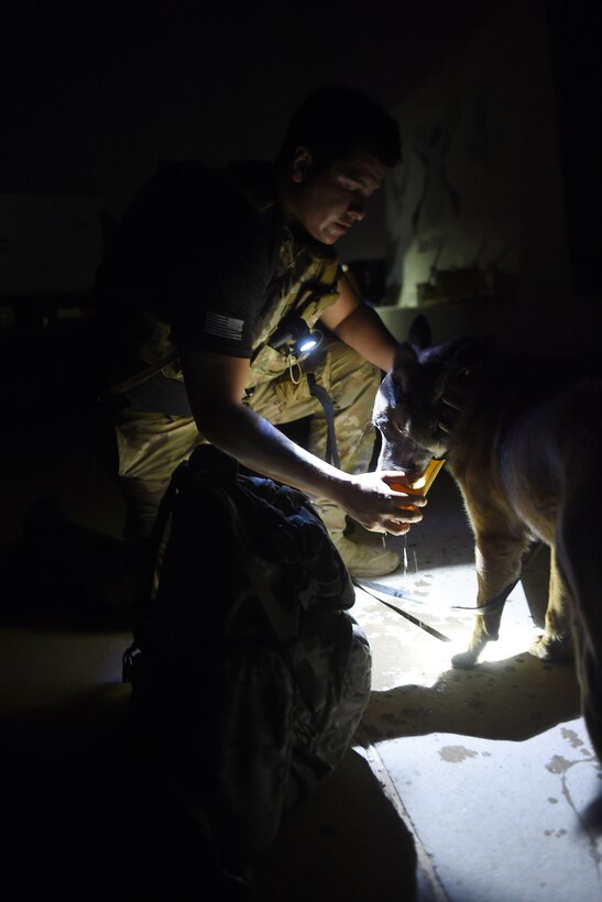 A military working dog and his handler drink water at night