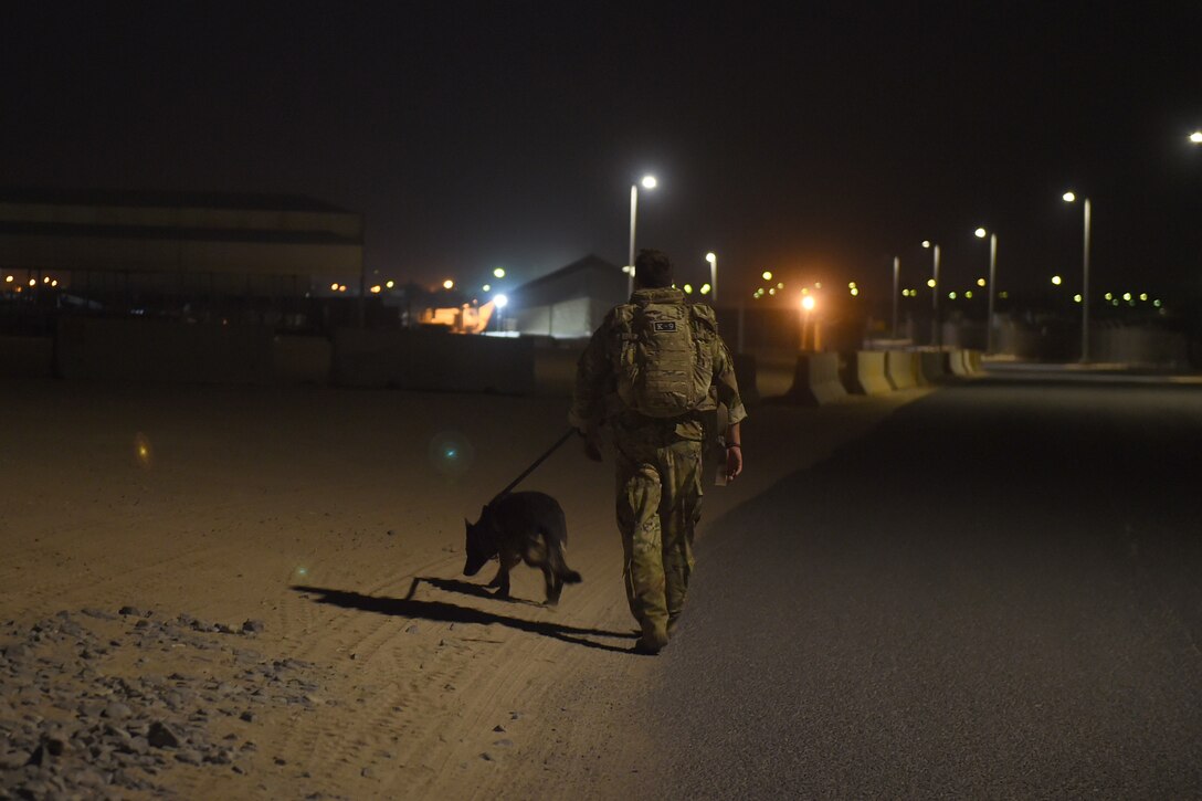 Airman walks with military working dog on the side of the road at night