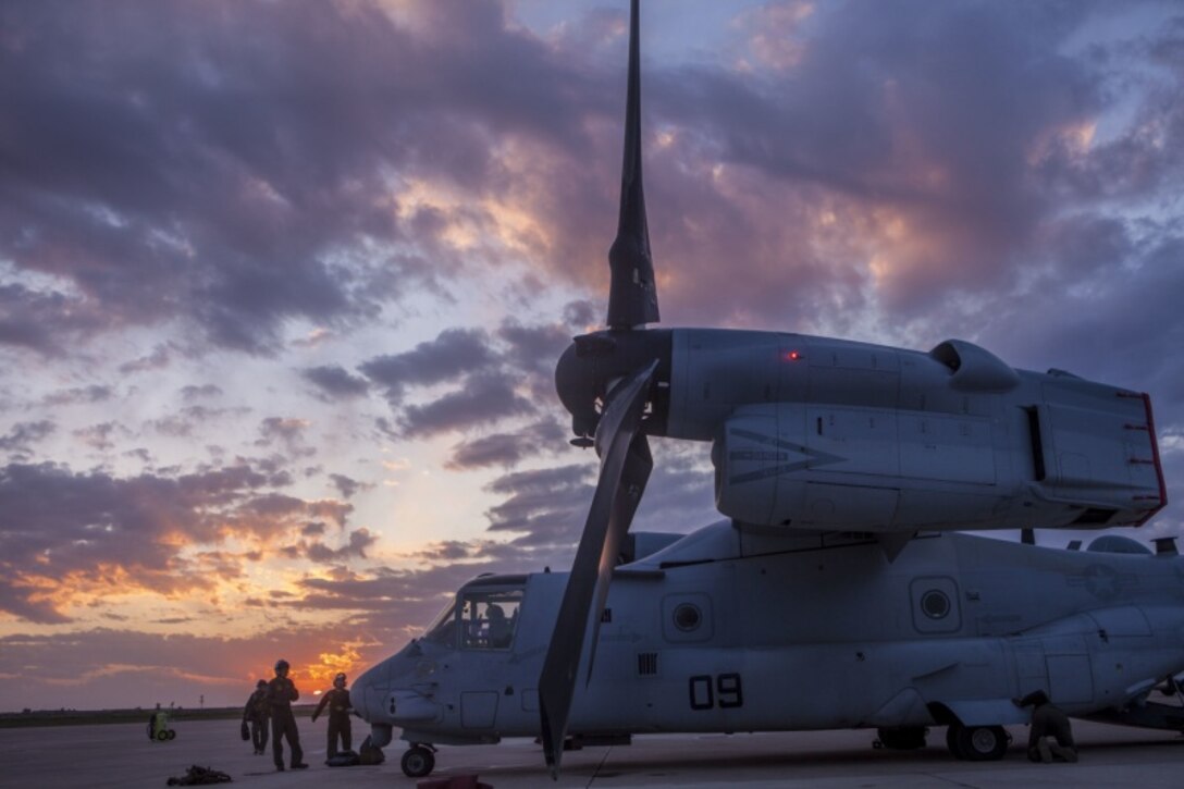 A U.S. Marine Corps MV-22B Osprey rests at Morón Air Base, Spain, March 29, 2019. The aircraft, from Marine Medium Tiltrotor Squadron 261, will serve as the aviation combat element for Special Purpose Marine Air-Ground Task Force-Crisis Response-Africa 19.2, Marine Forces Europe and Africa, as they prepare to take authority from 19.1 for operations within the area of responsibility. SPMAGTF-CR-AF is deployed to conduct crisis-response and theater-security operations in Africa and promote regional stability by conducting military-to-military training exercises throughout Europe and Africa.