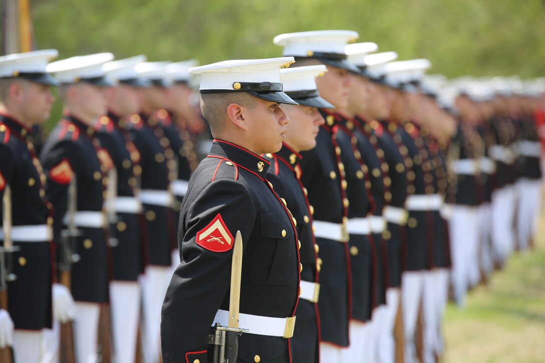 Marines with Marine Barracks Washington D.C., support a full honors funeral for retired Marine Lt. Col. Howard V. Lee, Medal of Honor recipient, at Colonial Grove Memorial Park, Virginia Beach, Virginia, March 30, 2019.