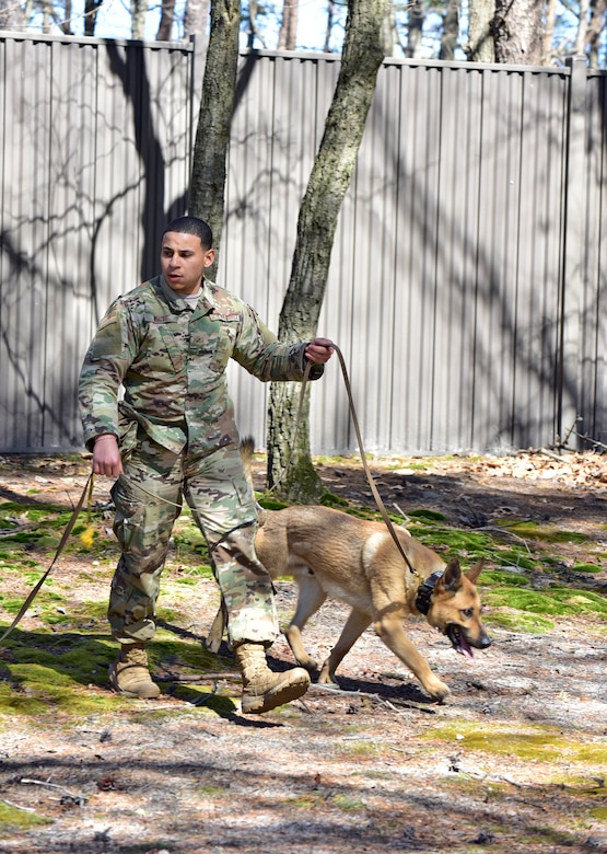 Senior Airman Nathan White, 11th Security Support Squadron military working dog handler, performs validation training with his dog, Toro, on Joint Base Andrews, Md., March 26, 2019.  Every six months, handlers are tested on validation training to ensure the duo is working effectively. (U.S. Air Force photo by Airman 1st Class Noah Sudolcan)