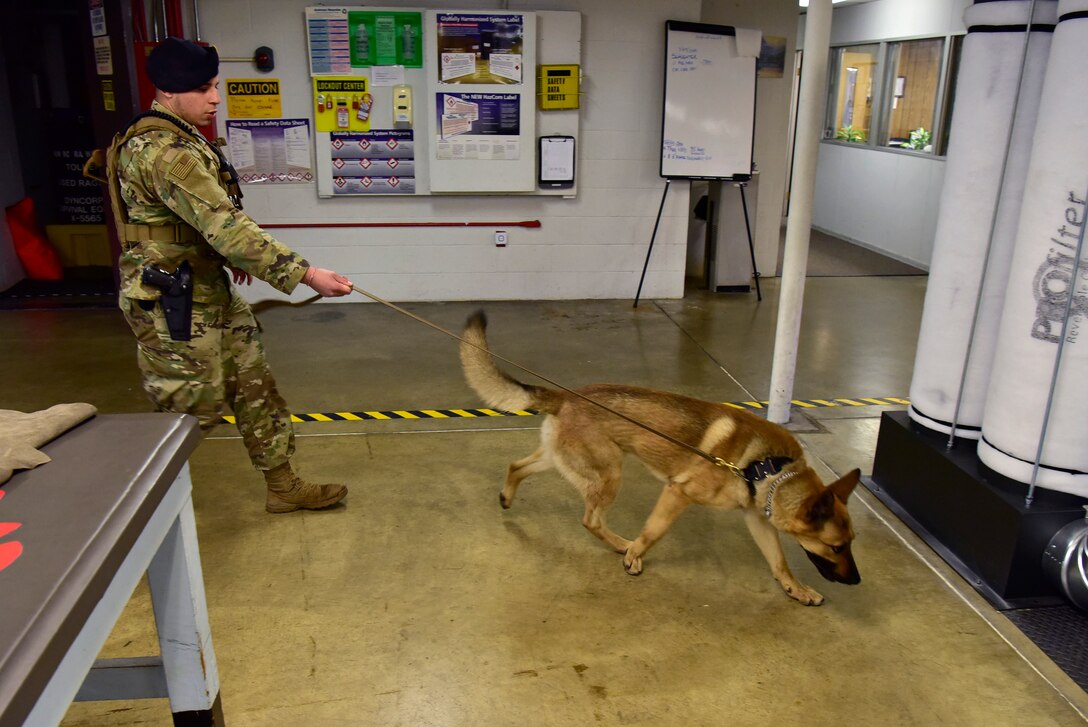 Senior Airman Nathan White, 11th Security Support Squadron military working dog handler, and his dog, Toro, search a building on Joint Base Andrews, Md., March 28, 2019. White and Toro often patrol the base and sweep areas for potential threats to JBA. (U.S. Air Force photo by Airman 1st Class Noah Sudolcan)