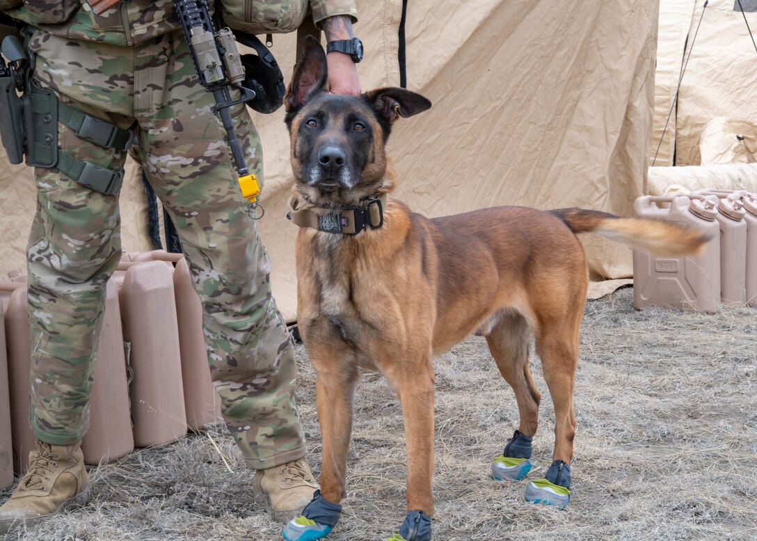 823d BDS takes adaptive basing exercise to WY