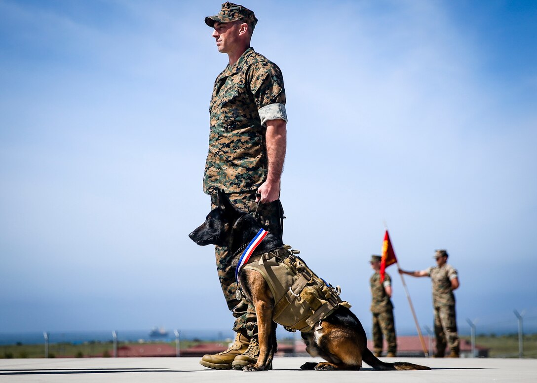 U.S. Marine Corps Staff Sgt. John Koman, multi-purpose canine handler with Delta Company, 1st Marine Raider Support Battalion, U.S. Marine Corps Forces Special Operations Command, awaits command during the retirement ceremony of his multi-purpose canine, Roy, at Marine Corps Base Camp Pendleton, California, March 29, 2019. Koman and Roy have served together with 1st MRSB for five years. Upon his retirement, Roy was adopted by Koman.
