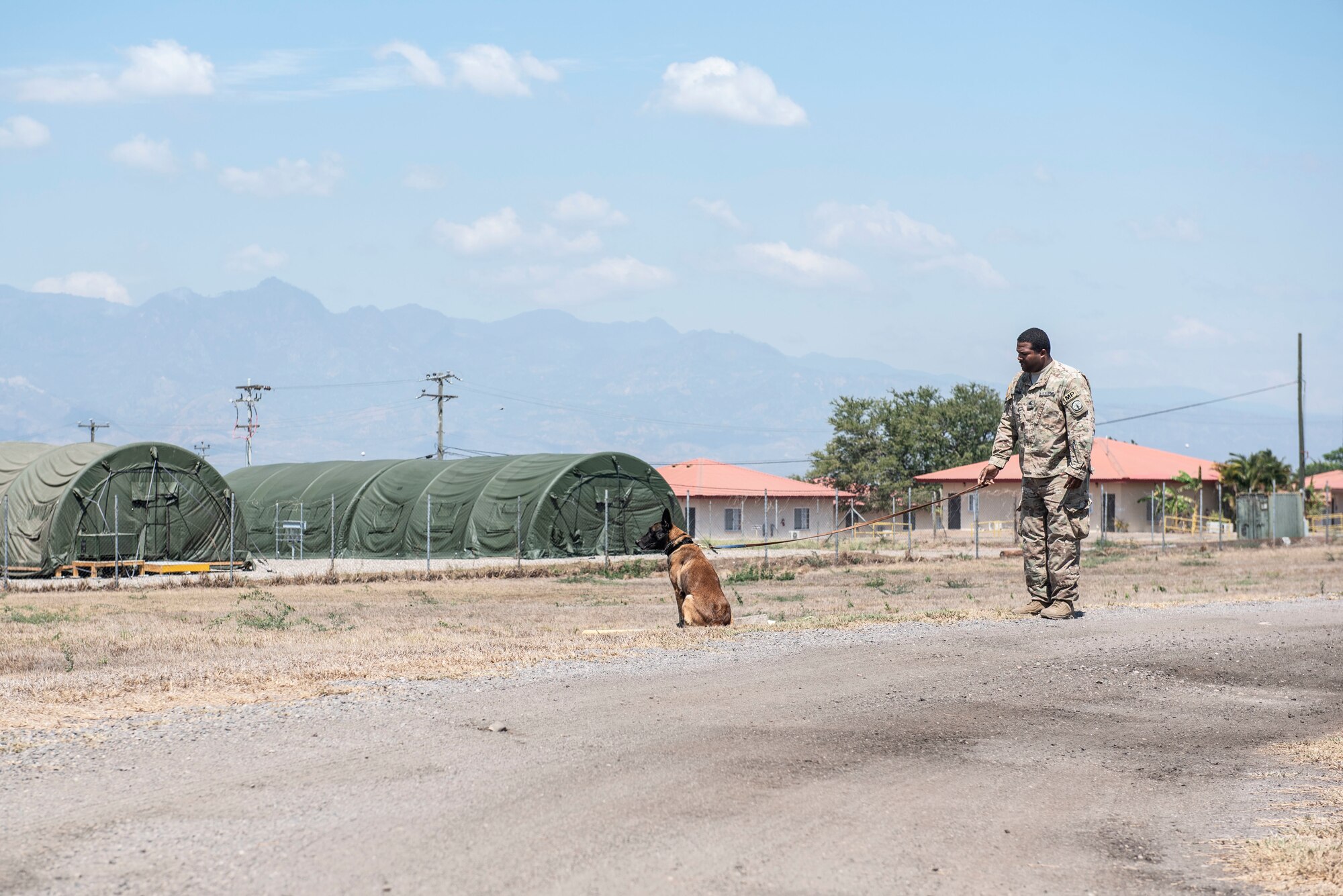 U.S. Army Sgt. Earl Thomas, Joint Security Forces military working dog handler, pauses as his canine, Tai, alerts him of simulated hazards during a demonstration at Soto Cano Air Base, Honduras, March 27, 2019.