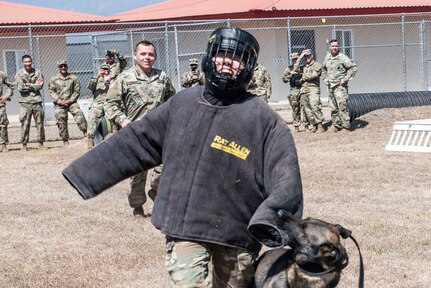 U.S. Army Pfc. Jason Dingler, Joint Security Forces military working dog handler, watches as his canine, Greco, takes down Spc. Young Won Ham, Medical Element preventive medicine technician, during a demonstration at Soto Cano Air Base, Honduras, March 27, 2019.
