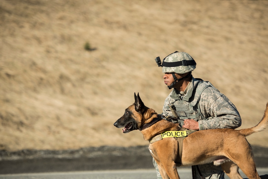 Military working dog, Chicco, awaits command from his handler, U.S. Air Force Staff Sgt. Christopher Bennett, at the Fort Richardson Gate, Joint Base Elemendorf-Richardson, Alaska, April 1, 2019 during a practice e confrontation management scenario for Polar Force 19-4. The simulated protest began as a peaceful demonstration which escalated, resulting in a few aggressive protesters being detained. The exercise test the base’s ability to integrate, mobilize, and prepare assigned personnel, aircraft and equipment to handle real-world situations. Bennett and Chicco are both assigned to the 673d Security Forces Squadron.