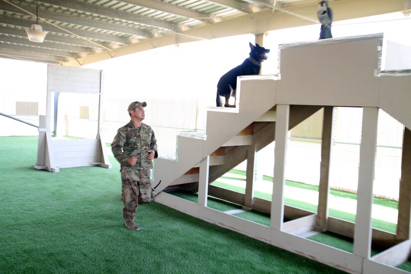 Petty Officer 2nd Class  Jonathan Sanchez, a military working dog handler with the Area Support Group-Qatar Provost Marshal’s Office, leads Lars, a German shepherd MWD, through the new turf field obstacle course at the Camp As Sayliyah, Qatar, obedience course facility March 29, 2019. Sanchez said the new facility allows him to exercise and train his dog so that he is better able to perform his required duties.